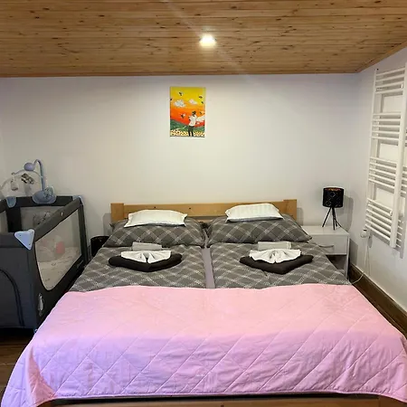 Сasa de vacaciones Wellness Diana Boldogkovaralja